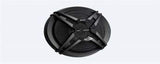 CHINA Amplifier (XS-GTF6939, Can Be Installed on All Types of Cars)