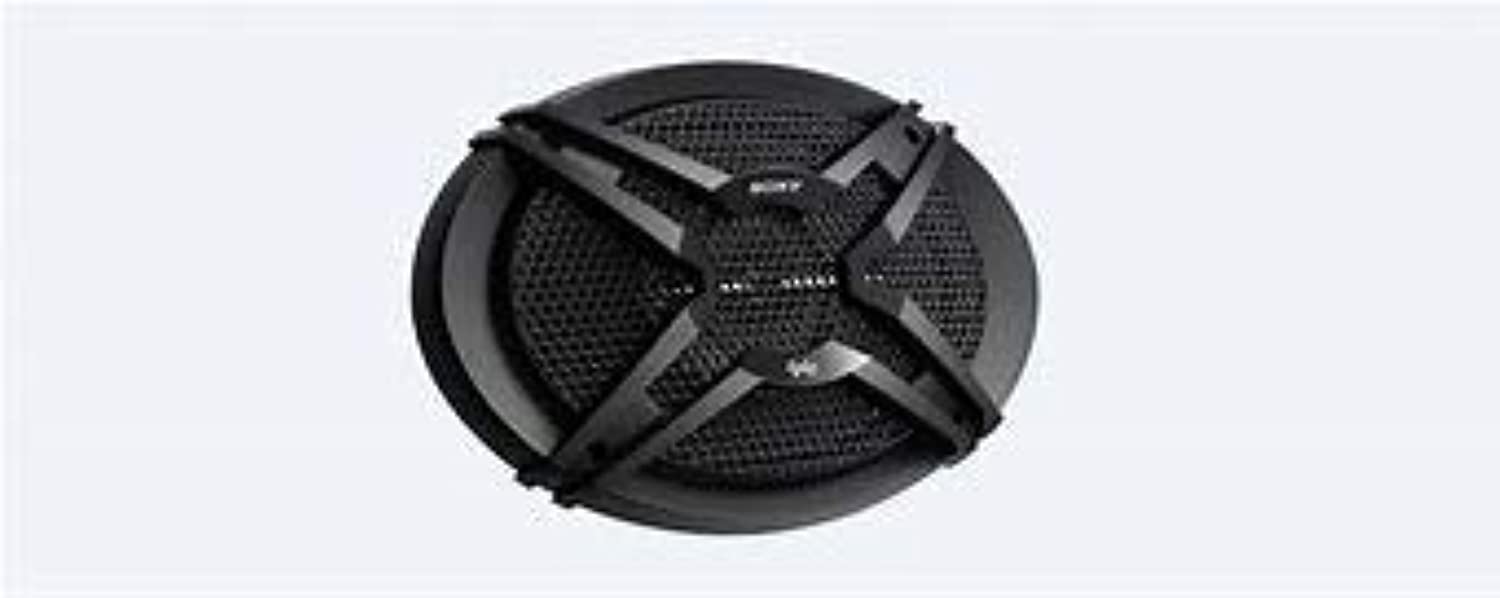 CHINA Amplifier (XS-GTF6939, Can Be Installed on All Types of Cars)