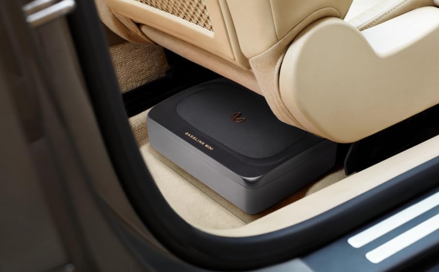 Infinity Basslink Mini Car Audio