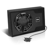 BOSS Audio Systems B12ES 12 Inch Car Subwoofer, 1200 Watts, Built-in Amp