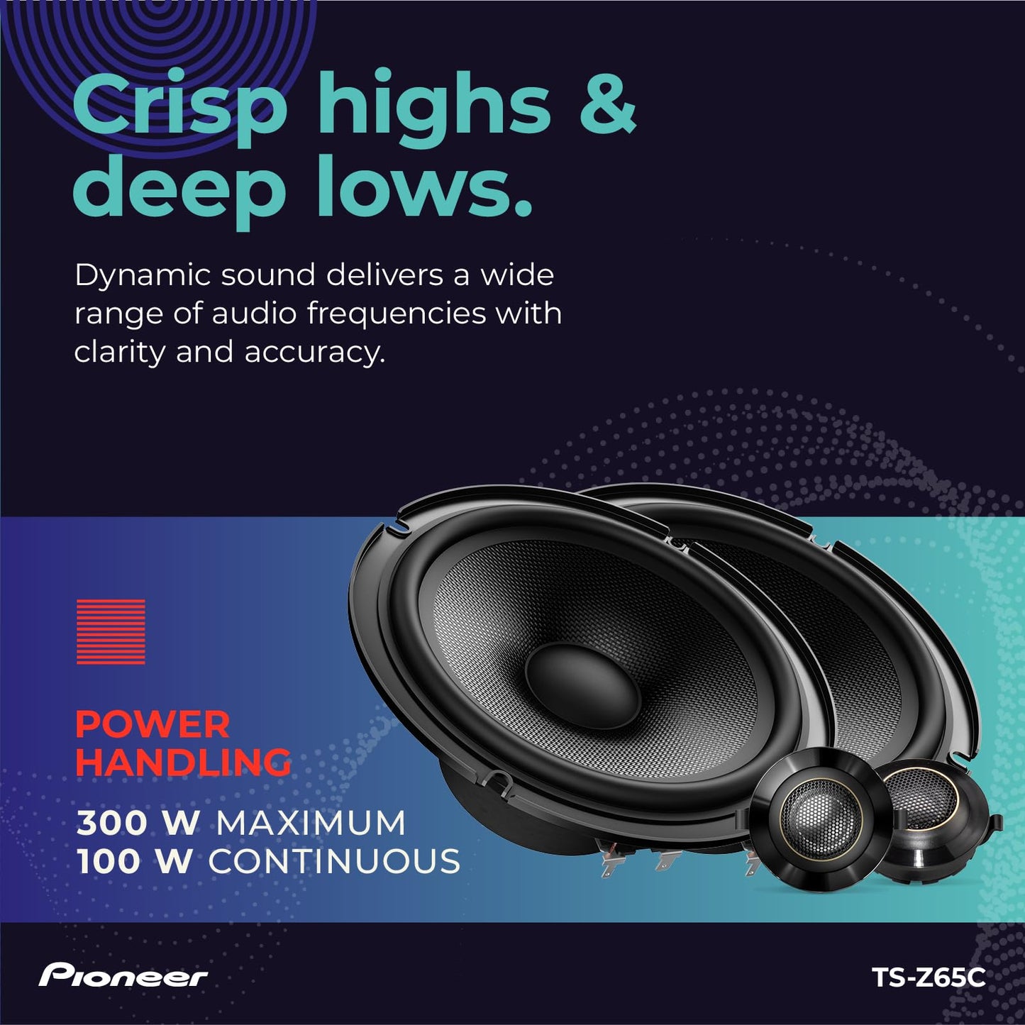 PIONEER TS-Z Speakers