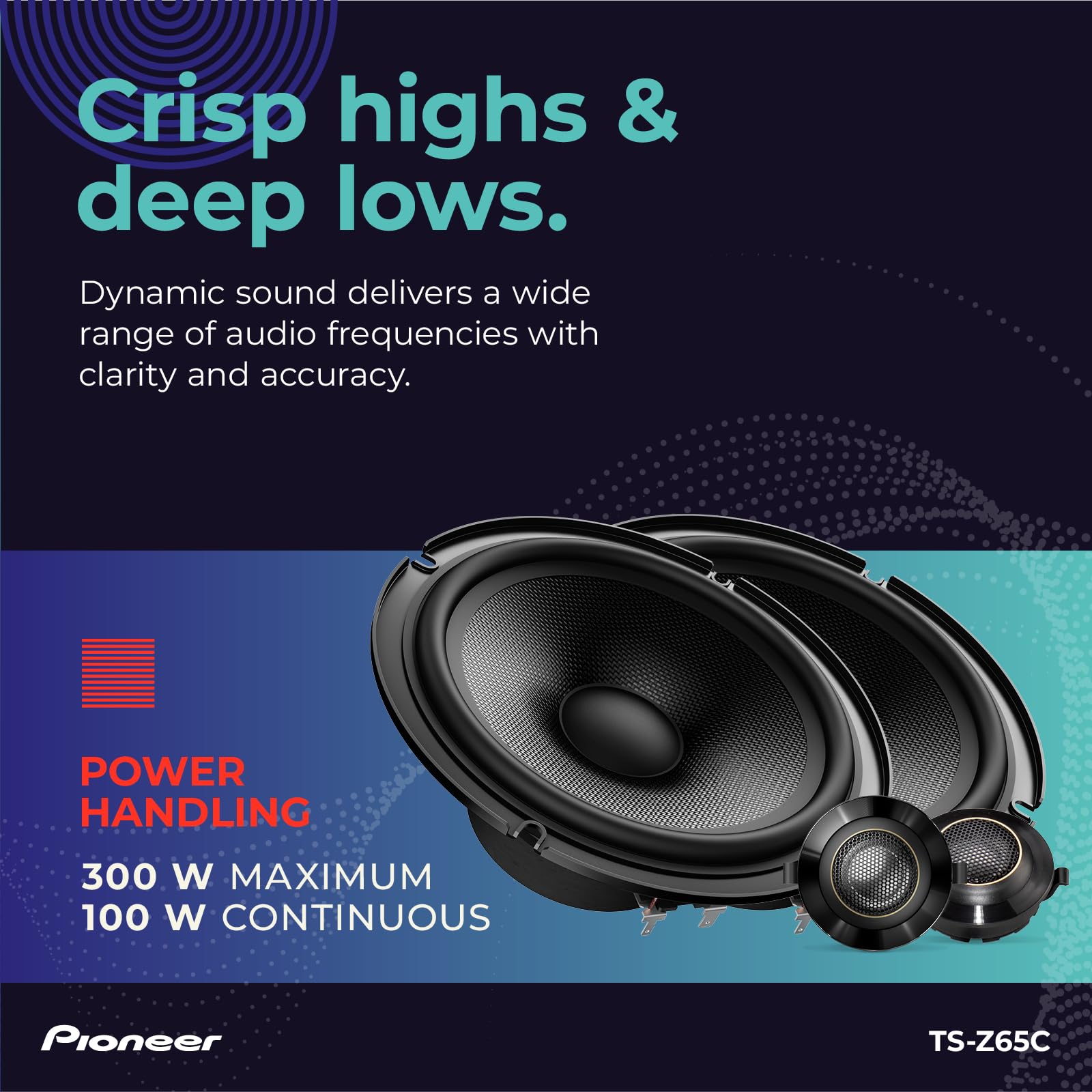 PIONEER TS-Z Speakers