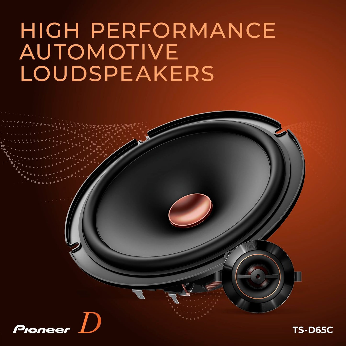 PIONEER TS-D Speakers