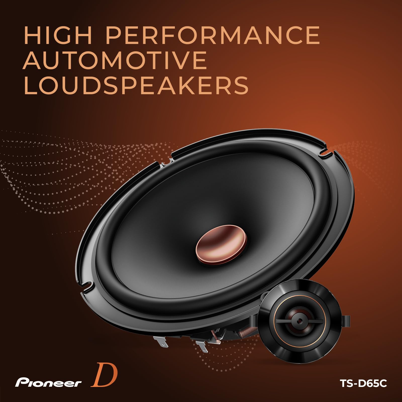 PIONEER TS-D Speakers