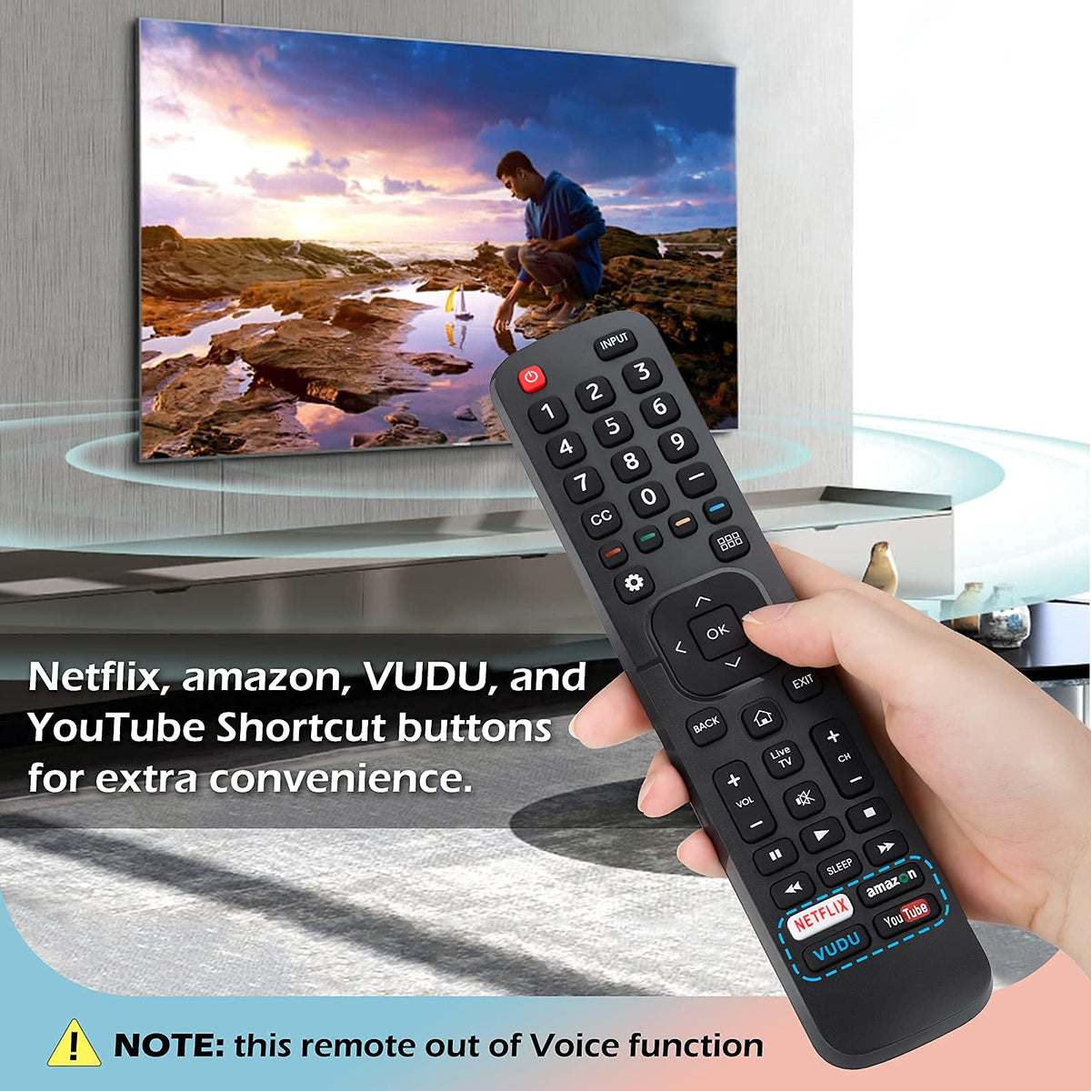 Hisense-TV-Remote Compatible with All Hisense 4K LED HD UHD Smart TVs - City Park