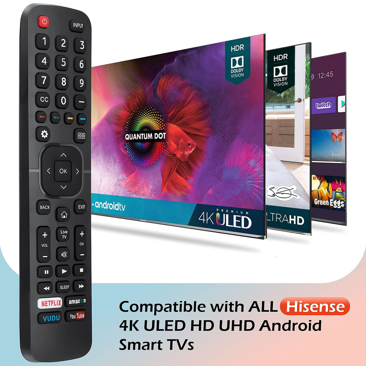 Hisense-TV-Remote Compatible with All Hisense 4K LED HD UHD Smart TVs - City Park