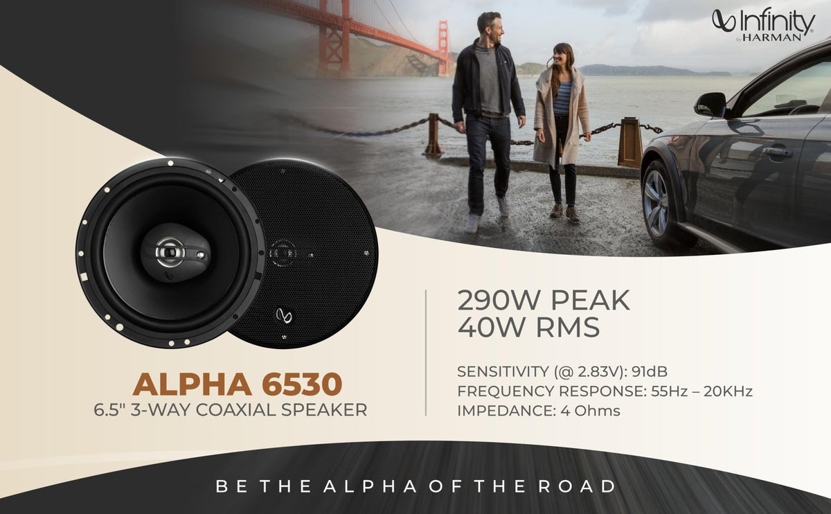 Infinity Car 3-Way Coaxial Speaker with Grille | Alpha 6530 | Peak Power - 290W | RMS Power - 40W | Wired 6.5 Inch 3-Way Coaxial Speaker (Black) - City Park