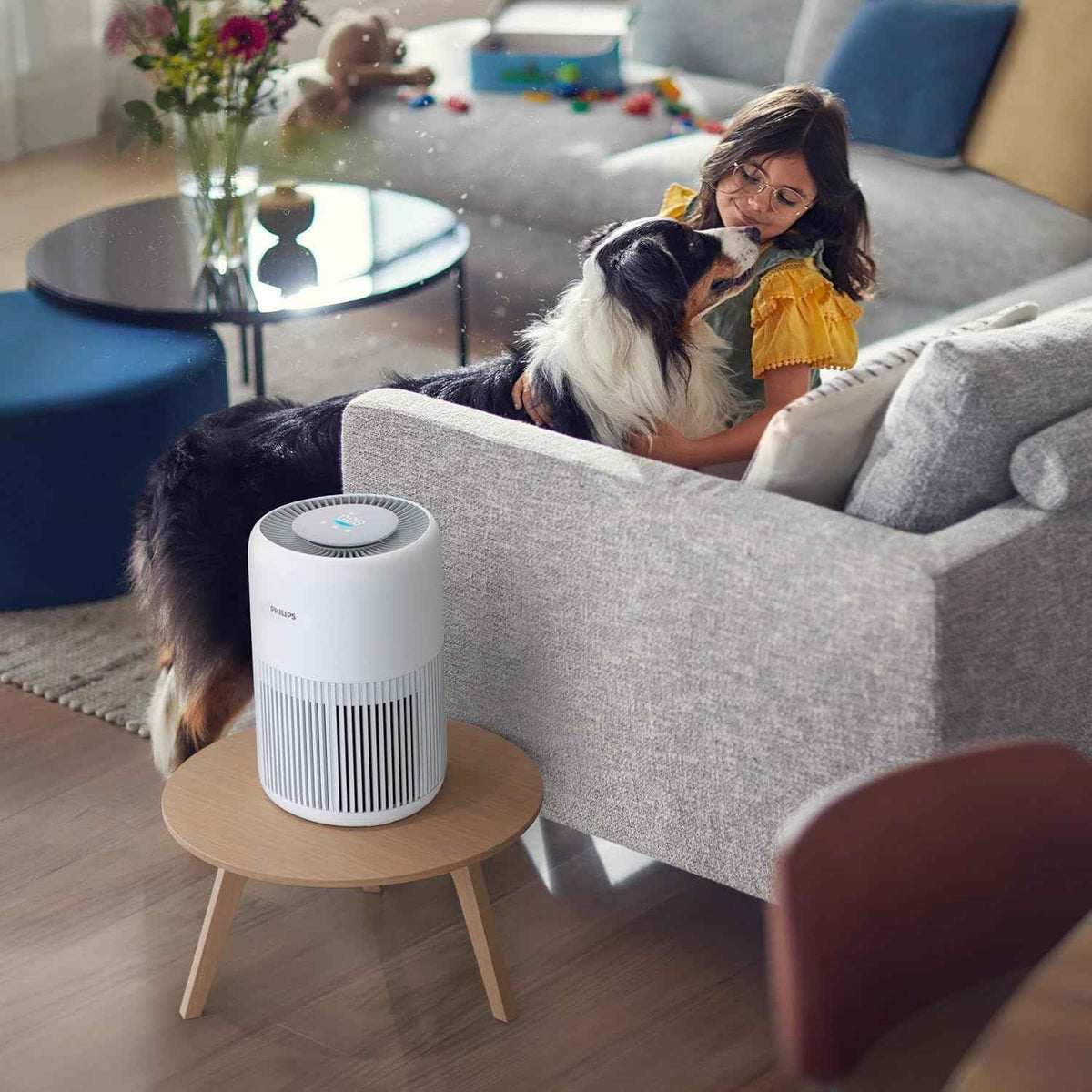 Breathe Cleaner Air with the Philips AC0920/10 Air Purifier | UAE